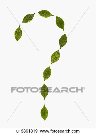 Studio shot of green leaves in question mark shape View Large Photo Image Stock Photo - Studio shot of green leaves in question mark shape. Fotosearch