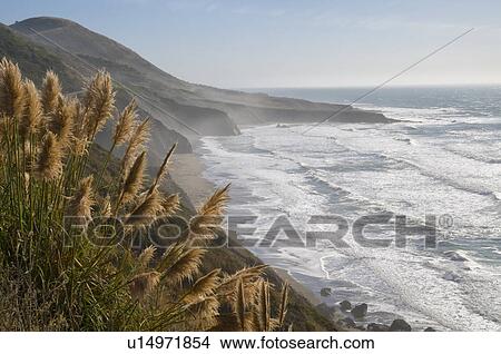 Picture - USA, California, Mendocino Coast. Fotosearch