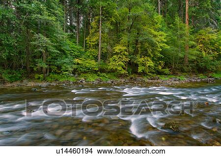 Picture - USA, California, Yosemite National Park, Merced River. Fotosearch