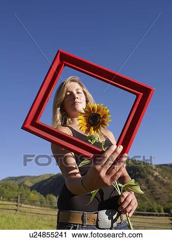 USA, Colorado, Young woman holding picture frame and sunflower View Large Photo Image Stock Image - USA, Colorado, Young woman holding picture frame and sunflower. Fotosearch