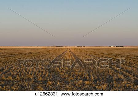 Stock Image - USA, Kansas, field. Fotosearch