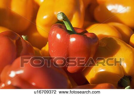 Stock Image - USA, Massachusetts, Boston, bell peppers. Fotosearch