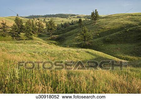 USA, Nebraska, green field View Large Photo Image Stock Image - USA, Nebraska, green field. Fotosearch