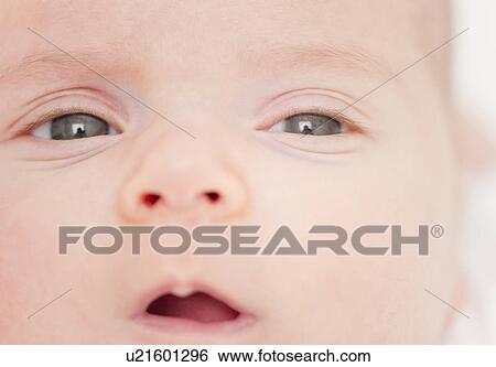 Stock Photograph - USA, New Jersey, Jersey City, baby girl (2-5 months) portrait. Fotosearch