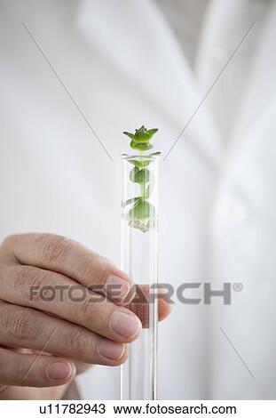 Stock Image - USA, New Jersey, Jersey City, Botanic laboratory. Fotosearch