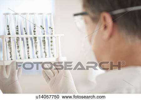 Stock Image - USA, New Jersey, Jersey City, Botanic laboratory. Fotosearch