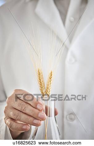 USA, New Jersey, Jersey City, Botanic laboratory View Large Photo Image Stock Image - USA, New Jersey, Jersey City, Botanic laboratory. Fotosearch