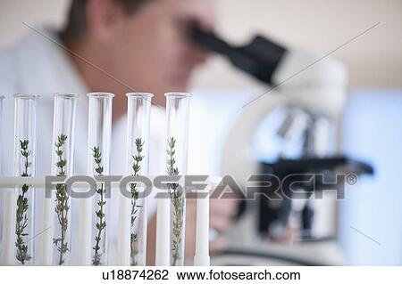 USA, New Jersey, Jersey City, Botanic laboratory View Large Photo Image Stock Image - USA, New Jersey, Jersey City, Botanic laboratory. Fotosearch