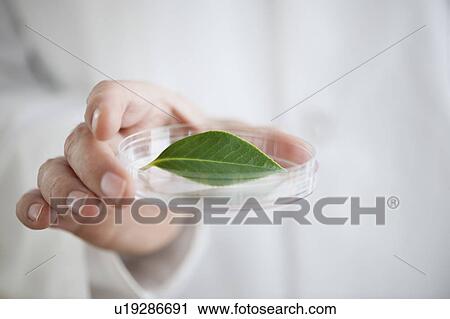 Stock Image - USA, New Jersey, Jersey City, Botanic laboratory. Fotosearch