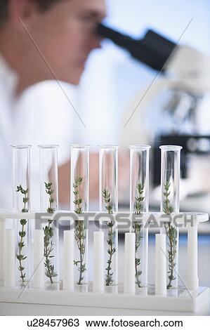 USA, New Jersey, Jersey City, Botanic laboratory View Large Photo Image Stock Image - USA, New Jersey, Jersey City, Botanic laboratory. Fotosearch