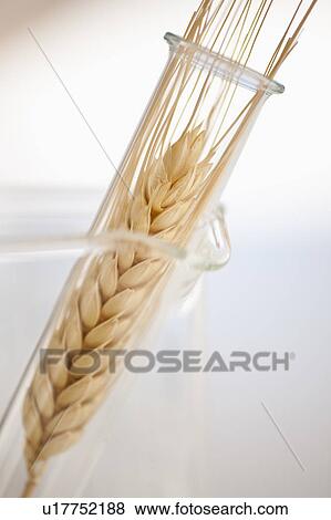 Stock Photo - USA, New Jersey, Jersey City, Botanic laboratory. Fotosearch