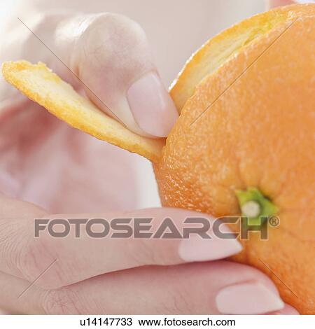 USA, New Jersey, Jersey City, Close-up view of woman's hand peeling orange View Large Photo Image Stock Image - USA, New Jersey, Jersey City, Close-up view of woman's hand peeling orange. Fotosearch