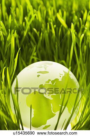 USA, New Jersey, Jersey City, Close-up view of illuminated green globe in grass View Large Photo Image Stock Image - USA, New Jersey, Jersey City, Close-up view of illuminated green globe in grass. Fotosearch