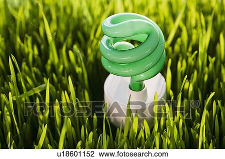 Stock Image - USA, New Jersey, Jersey City, Close-up view of energy efficient bulb sticking out of grass. Fotosearch