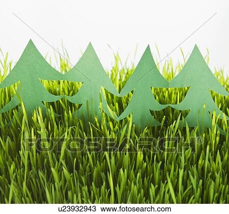 Stock Image - USA, New Jersey, Jersey City, Close-up view of white paper trees in grass . Fotosearch