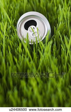 Stock Image - USA, New Jersey, Jersey City, Close-up view tin can in grass. Fotosearch