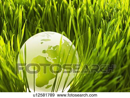 Stock Photo - USA, New Jersey, Jersey City, Close-up view of illuminated green globe in grass. Fotosearch