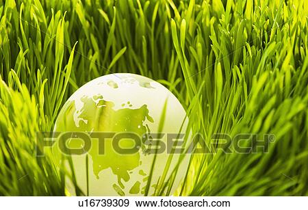 USA, New Jersey, Jersey City, Close-up view of illuminated green globe in grass View Large Photo Image Stock Photo - USA, New Jersey, Jersey City, Close-up view of illuminated green globe in grass. Fotosearch