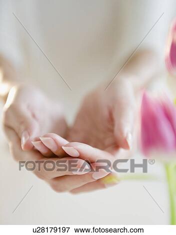 USA, New Jersey, Jersey City, Close-up view of woman's hands cupped View Large Photo Image Stock Photo - USA, New Jersey, Jersey City, Close-up view of woman's hands cupped. Fotosearch