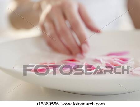 Stock Photograph - USA, New Jersey, Jersey City, Close-up view of woman's hand arranging petails on plate. Fotosearch
