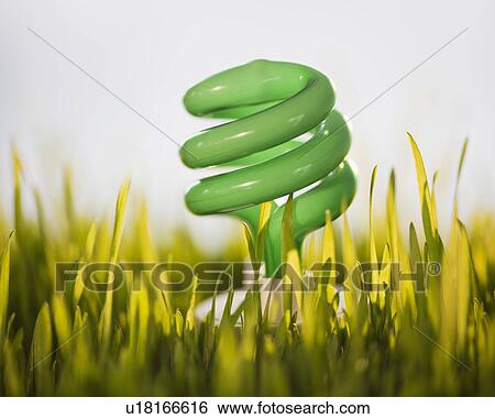 Stock Photograph - USA, New Jersey, Jersey City, Close-up view of energy efficient bulb sticking out of grass. Fotosearch