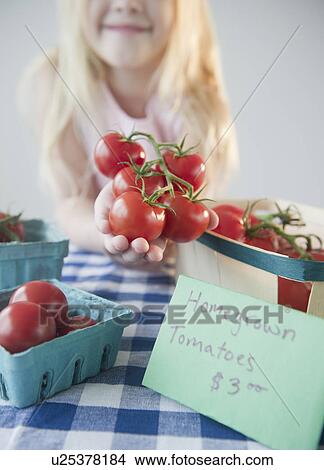 Picture - USA, New Jersey, Jersey City, Gil (8-9) showing home grown tomatoes. Fotosearch