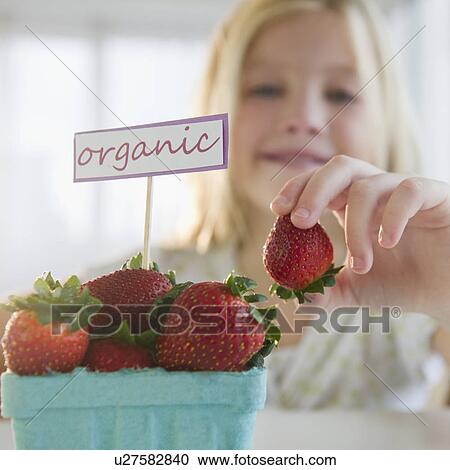 USA, New Jersey, Jersey City, Girl (8-9) eating organic strawberries View Large Photo Image Stock Image - USA, New Jersey, Jersey City, Girl (8-9) eating organic strawberries. Fotosearch