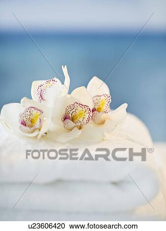 Stock Image - USA, New Jersey, Jersey City, spa elements with orchids. Fotosearch