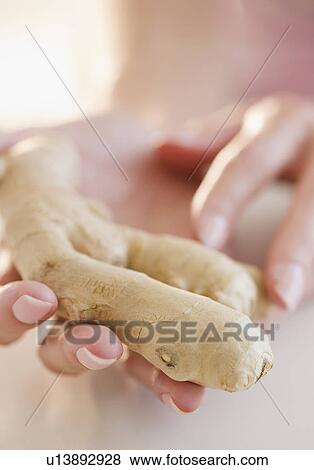 Stock Photo - USA, New Jersey, Jersey City, Woman hand holding ginger root. Fotosearch