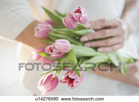 USA, New Jersey, Jersey City, Woman's hands holding bunch of pink tulips View Large Photo Image Stock Image - USA, New Jersey, Jersey City, Woman's hands holding bunch of pink tulips. Fotosearch