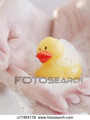 USA, New Jersey, Jersey City, Woman's hand covered with holding rubber duck View Large Photo Image Stock Photo - USA, New Jersey, Jersey City, Woman's hand covered with holding rubber duck. Fotosearch