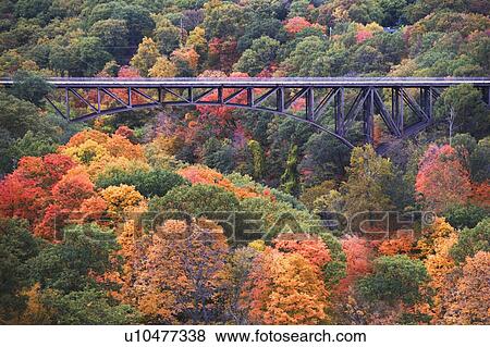 Stock Photo - USA, New York, Bear Mountain, bridge in forest. Fotosearch