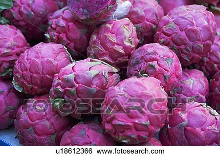 USA, New York City, heap of dragon fruit View Large Photo Image Stock Photograph - USA, New York City, heap of dragon fruit. Fotosearch