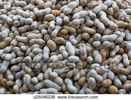 USA, New York City, heap of peanuts View Large Photo Image Stock Photo - USA, New York City, heap of peanuts. Fotosearch