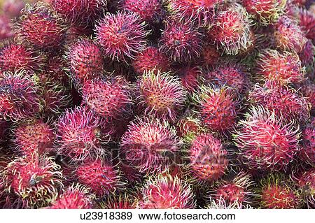 Stock Photo - USA, New York City, heap of rambutans. Fotosearch