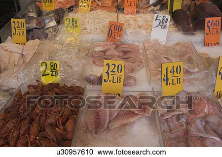 USA, New York City, market stall with seafood View Large Photo Image Stock Image - USA, New York City, market stall with seafood. Fotosearch