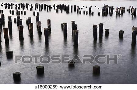 Stock Photo - USA, New York City, old pier poles in sea. Fotosearch