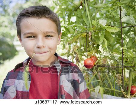 USA, New York, Flanders, Boy (8-9) in garden View Large Photo Image Stock Photo - USA, New York, Flanders, Boy (8-9) in garden. Fotosearch