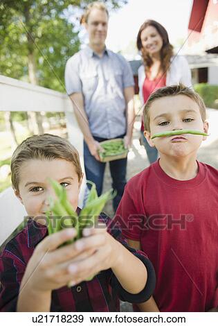 USA, New York, Flanders, Boys (4-5, 8-9) showing fresh beans with parents in background View Large Photo Image Stock Photo - USA, New York, Flanders, Boys (4-5, 8-9) showing fresh beans with parents in background. Fotosearch