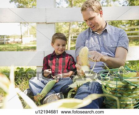 Stock Image - USA, New York, Flanders, Father with son (8-9) husking corns. Fotosearch