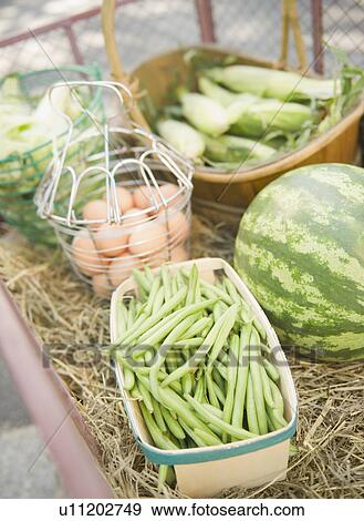 USA, New York, Flanders, Organic beans, watermelon, eggs, and corn View Large Photo Image Stock Photo - USA, New York, Flanders, Organic beans, watermelon, eggs, and corn. Fotosearch