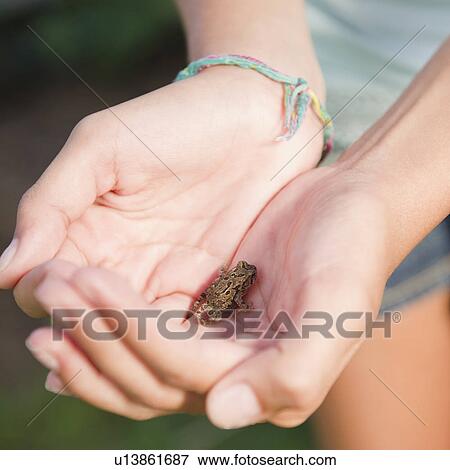 Stock Photo - USA, New York, Girl (10-11) holding small frog. Fotosearch