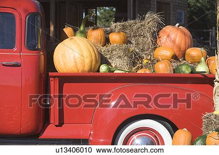Stock Image - USA, New York, Peconic, pickup truck loaded with pumpkins. Fotosearch