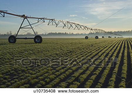 USA, Oregon, Agricultural sprinklers in field View Large Photo Image Stock Photo - USA, Oregon, Agricultural sprinklers in field. Fotosearch