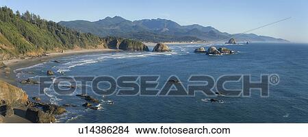 Picture - USA, Oregon, Cannon Beach. Fotosearch