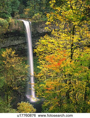 Stock Photograph - USA, Oregon, Silver Falls. Fotosearch