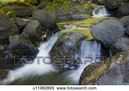 Stock Image - USA, Oregon, small waterfall. Fotosearch