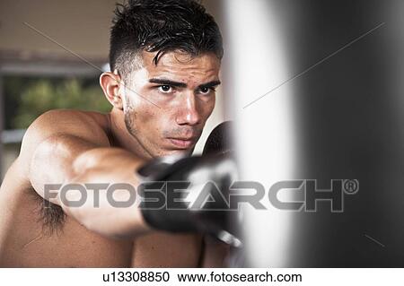 USA, Seattle, Portrait of young man in gym wearing boxing gloves View Large Photo Image Stock Image - USA, Seattle, Portrait of young man in gym wearing boxing gloves. Fotosearch