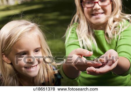 USA, Utah, close up of sisters (6-7, 8-9 ) holding frog View Large Photo Image Stock Photo - USA, Utah, close up of sisters (6-7, 8-9 ) holding frog. Fotosearch
