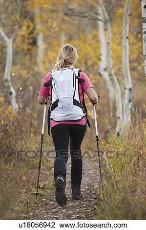 Stock Image - USA, Utah, young woman hiking in forest, rear view. Fotosearch